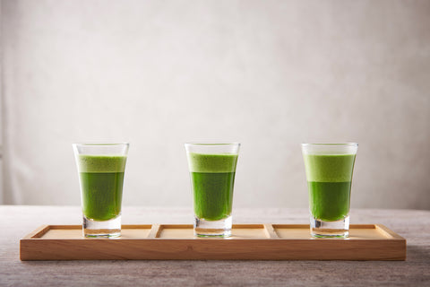抹茶テイスティング